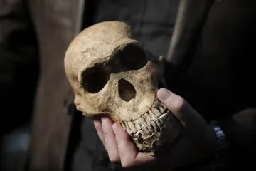 Znanstvenici došli do grandioznog otkrića koje bi moglo promijeniti povijest ljudske evolucije