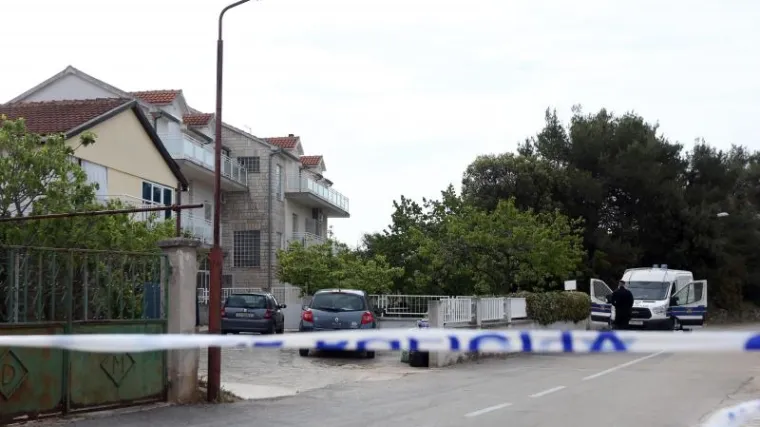 'Sve razumije, ali ne govori'