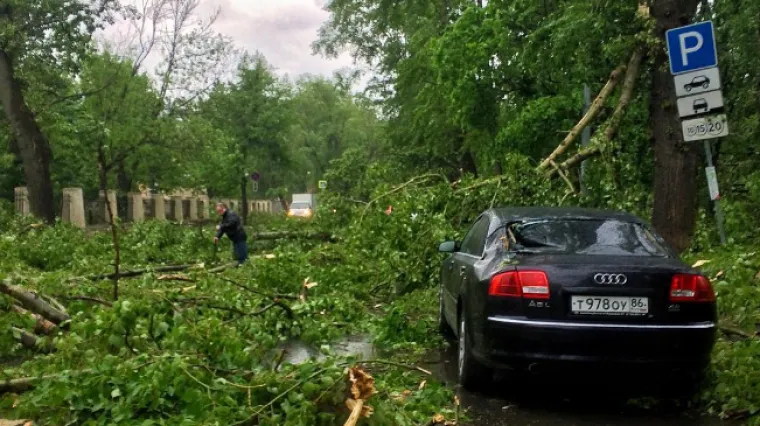 Snažna oluja pogodila Moskvu: poginulo najmanje 6, a ozlijeđeno preko 40 osoba