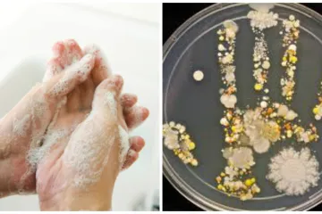 Čak 95 posto ljudi to radi pogrešno, a posljedice nisu niti najmanje bezazlene