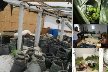 'Cijelo selo je ostajalo bez struje jer je bivši policajac uzgajao travu u staji'