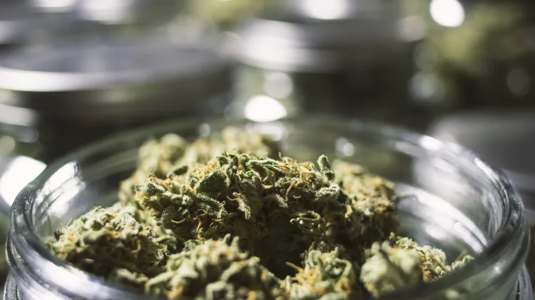 Zagorski Walter White: kako je biv&scaron;i policajac u &scaron;taglju uzgajao marihuanu i snabdijevao Zagreb