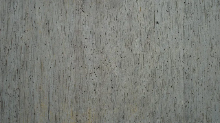 Korisni savjeti za či&scaron;ćenje: kako ukloniti plijesan sa zidova