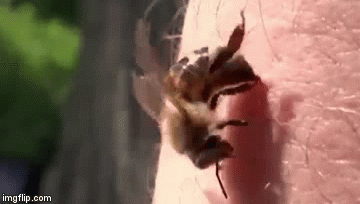 Pogledajte &scaron;to se stvarno događa, sigurno niste znali