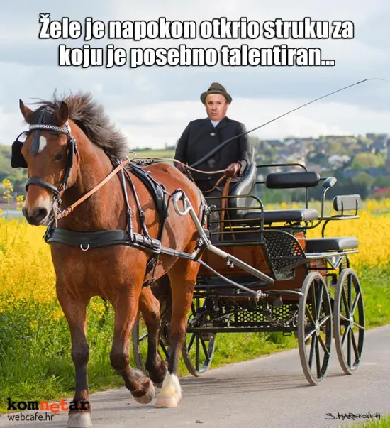 Ni'ko mene ne razumi, moj konjiću...