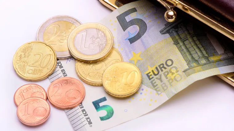 Pod hitno uvesti euro ili još pričekati?