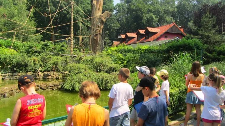 Divlje ljeto &ndash; uzbudljiv spoj prirodoslovlja i tehnologije za ljetne praznike