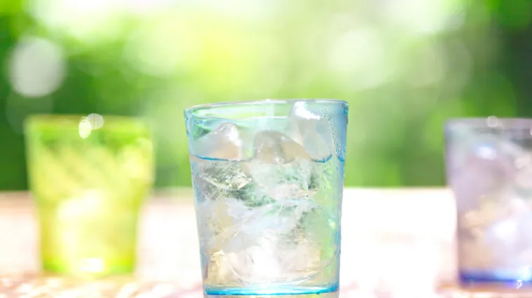 Gubljenje kilograma na ovaj način je najjednostavnije, nema posljedica, a i jeftino je, hoćete probati?