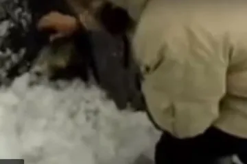 U ledu Sibira pronašli letjelicu i tijelo izvanzemaljca?