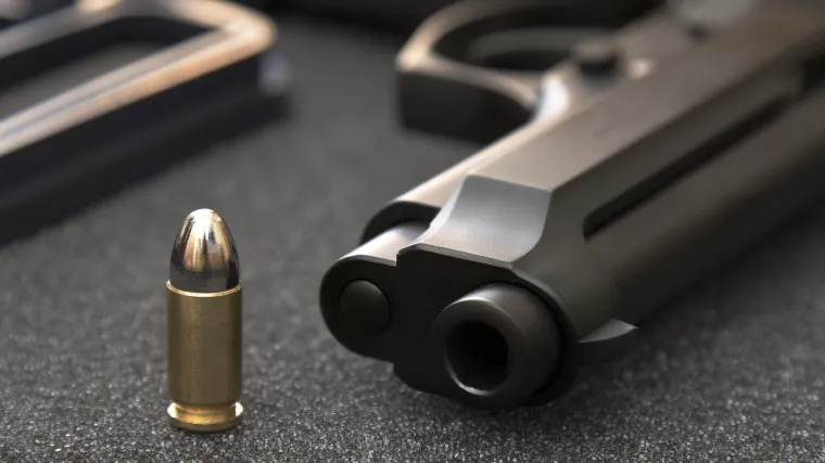 Policajac u Srbiji pucao na vjenčanju i ranio desetogodi&scaron;nju djevojčicu