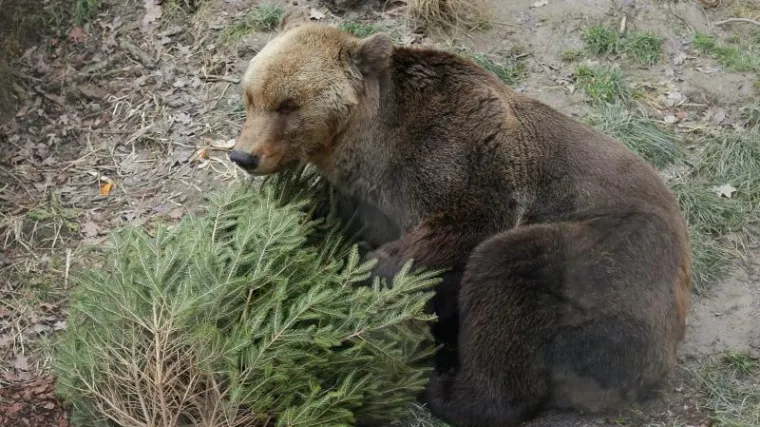 'Bojimo se djecu ostaviti samu...'