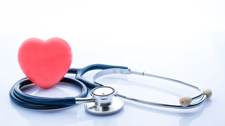 Najveći svjetski ubojica - kardiovaskularne bolesti