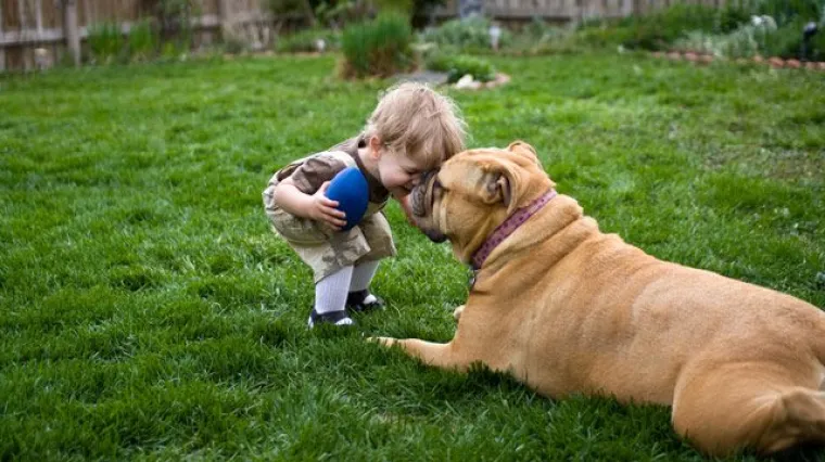 Djeca i psi su apsolutno najbolji prijatelji, otkrijte dobrobiti njihova suživota