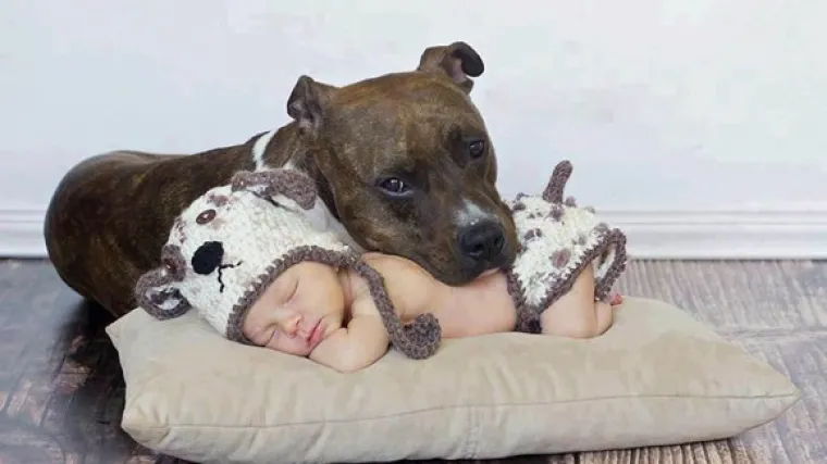 Najiskrenije prijateljstvo koje traje zauvijek