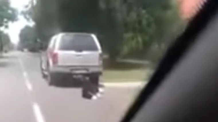 Snimka maltretiranja psa uznemirila mnoge: trag videozapisa odveo nas je u Borovo naselje