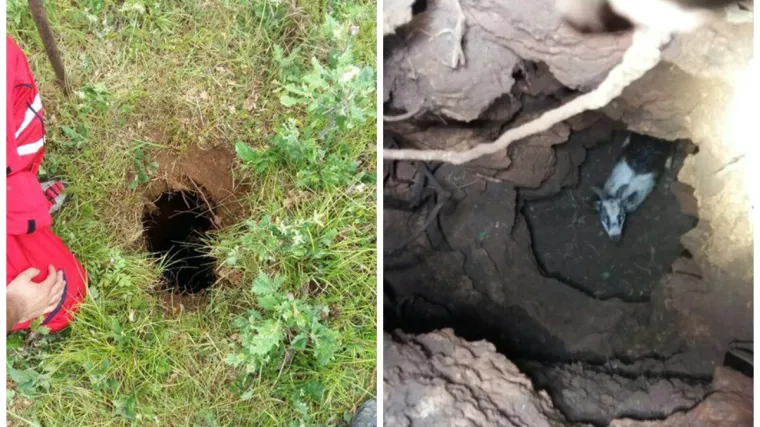 Najmršaviji HGSS-ovac ušao u rupu duboku pet metara: 'Svaki je život bitan jer nosi nešto dobro'