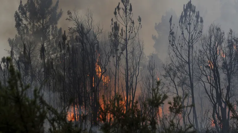 Požar u Portugalu: preživjeli požar jer su utoči&scaron;te na&scaron;li u spremniku s vodom