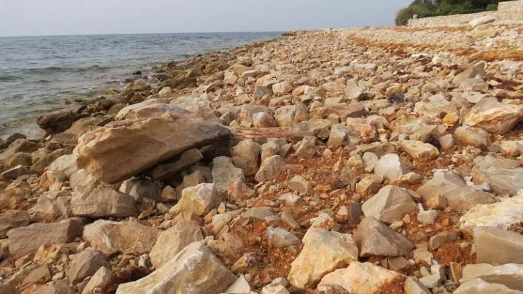 Aktualno pitanje okoli&scaron;a: konferencija 'Čovjek i kr&scaron;' održat će se u Zadru