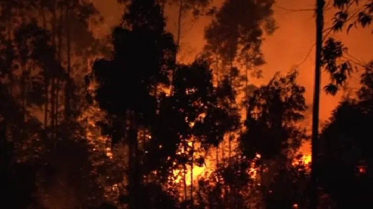 Preko 60 ljudi živo izgorjelo u automobilima, preživjeli ispričali potresne ispovijesti