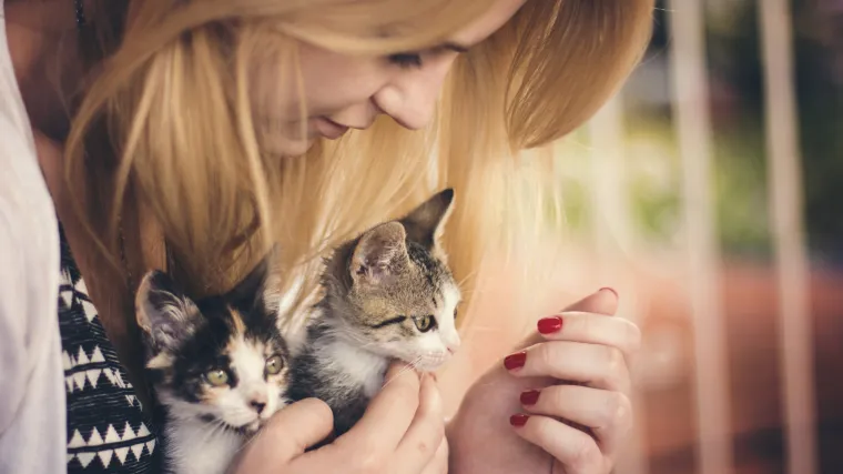 Mačke su izabrale ljudsko dru&scaron;tvo i pripitomile su se same