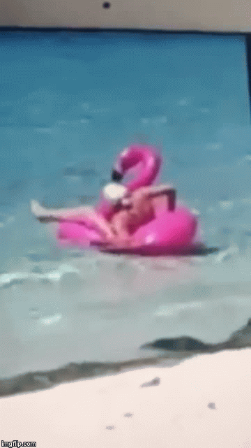 Zaglavila u plamencu, ali se super zabavlja; no onda su došli spasitelji...