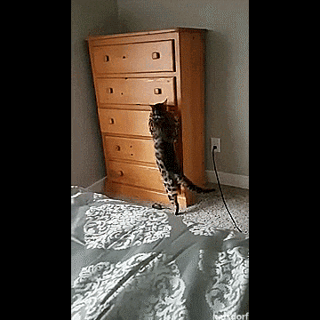 Koji je točno plan?