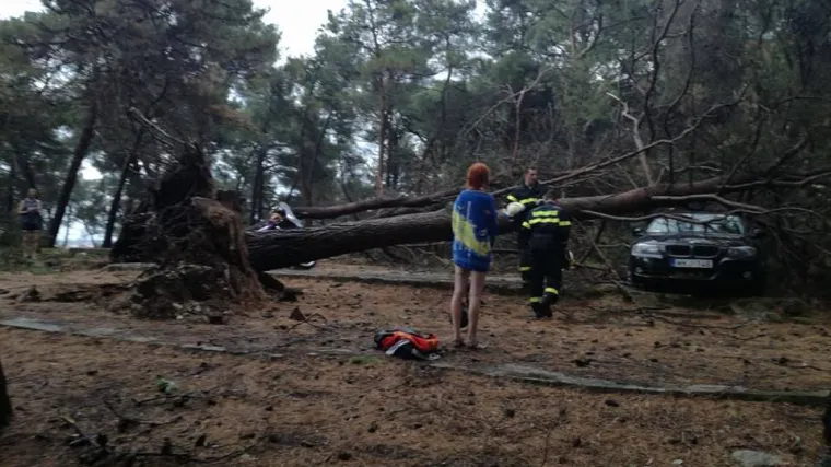 Olujno nevrijeme odnijelo život na Krku, u Istri stablo zarobilo obitelj u autu