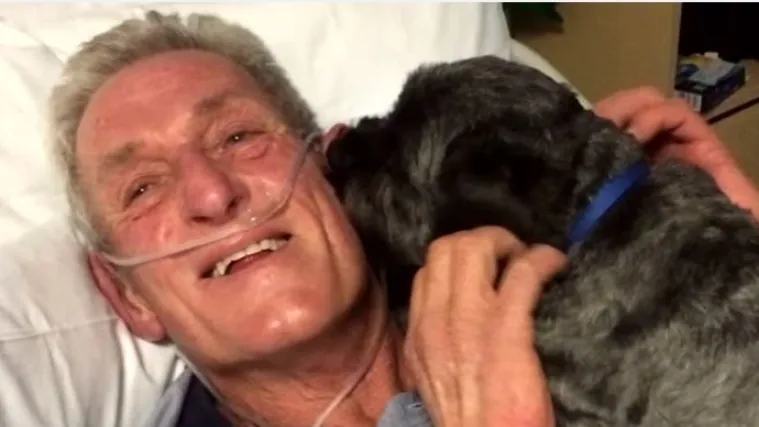 Ljubav koja 'diže iz mrtvih': pas svog vlasnika probudio iz kome