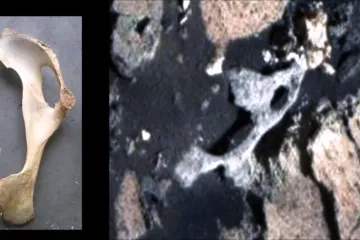 Neočekivano otkriće na stjenovitoj povr&scaron;ini Crevenog planeta