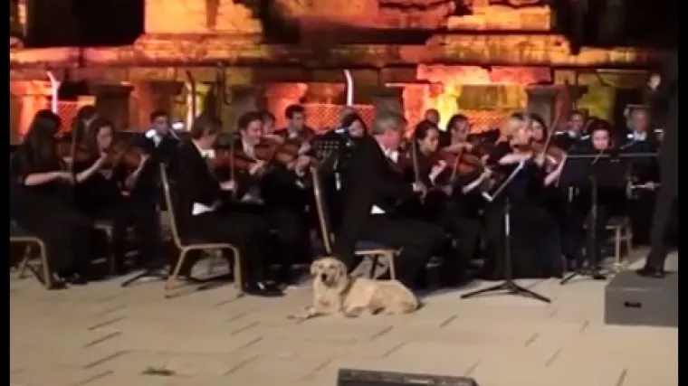 Svirali su u Velikom kazali&scaron;tu u Efezu, a onda se do&scaron;etao on...