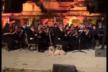 Svirali su u Velikom kazali&scaron;tu u Efezu, a onda se do&scaron;etao on...