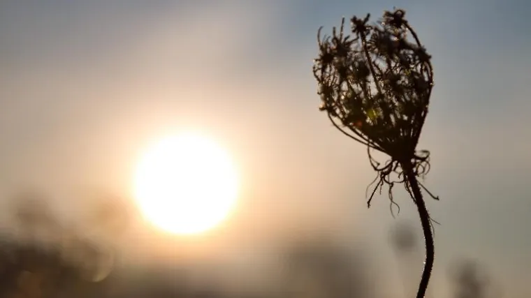 Regiju pogodio toplinski udar: vrućina u Bugarskoj odnijela pet života, evo &scaron;to očekuje Hrvatsku