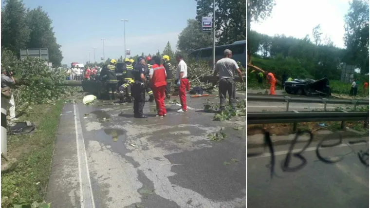 Samohrana majka trebala s troje djece na more, a onda je oluja sru&scaron;ila drvo na njen auto