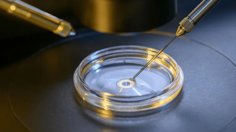 Na uspjeh in vitro oplodnje utječe i dob muškarca - muška plodnost ipak se smanjuje s godinama