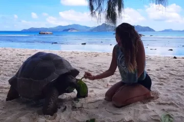 Ljepota Sejšela u tri minute videa našeg poznatog avanturista Kristijana Iličića