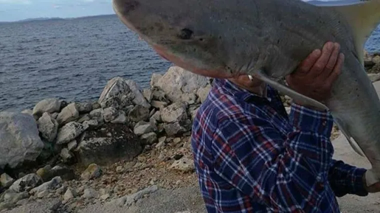 'Tko se ne bi želio pohvaliti takvim ulovom?'