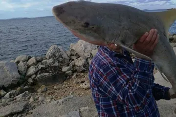 'Tko se ne bi želio pohvaliti takvim ulovom?'