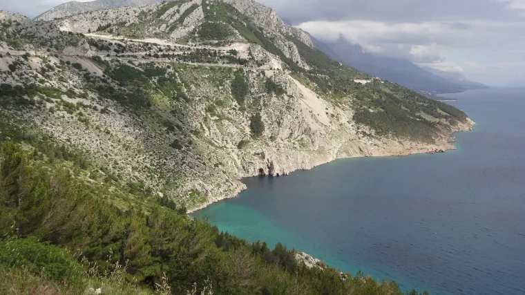 Hrvatska sibireja - prekrasan endem Velebita