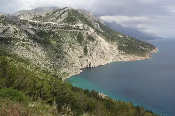 Hrvatska sibireja - prekrasan endem Velebita