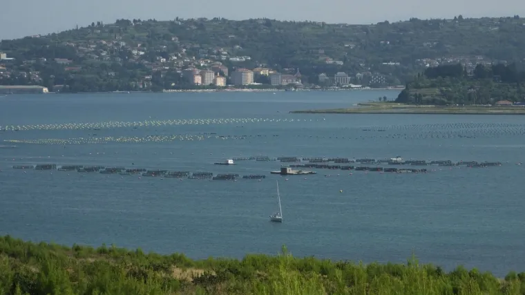 Nakon Nijemaca, i zemlje Beneluxa podržale Sloveniju: 'EU je sagrađena na zakonima koji se moraju po&scaron;tivati'
