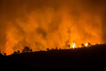 Vatrogasci čuvaju požarište, a popodne gorjelo i na Konavoskim brdima