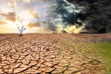 'U tijeku je šesto masovno izumiranje vrsta u povijesti Zemlje, jasno je tko je glavni krivac'