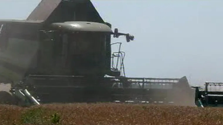 Novi hit među poljoprivrednicima: umjesto p&scaron;enice seljaci se sve vi&scaron;e okreću ječmu - zbog dobre zarade i sigurnog otkupa