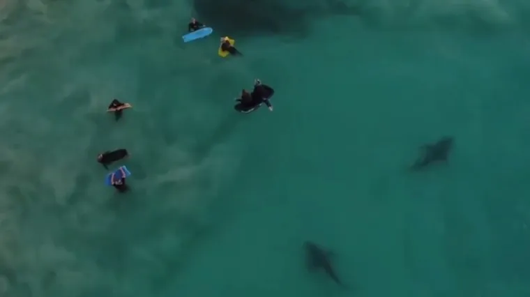 Snimka iz zraka otkrila prizore koje nitko ne želi vidjeti na ljetovanju