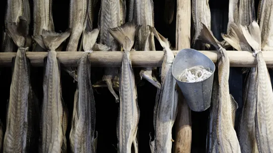 Kako odabrati bakalar? Uz ove četiri metode prepoznajte najbolji komad