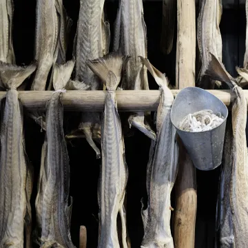 Kako odabrati bakalar? Uz ove četiri metode prepoznajte najbolji komad