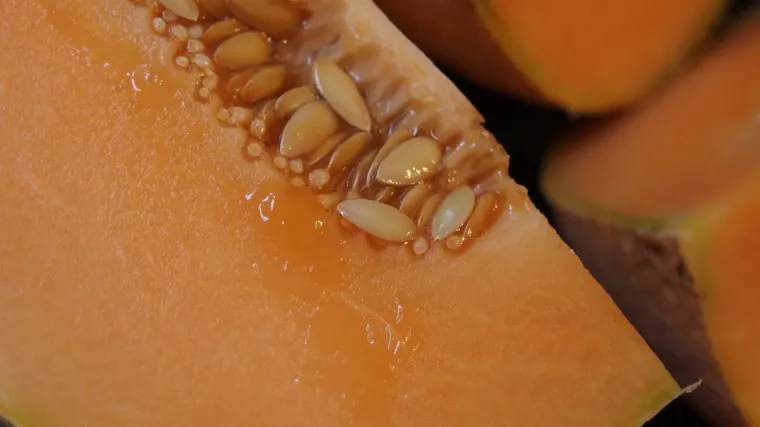 Dinje: upoznajte najpopularnije sorte dinje