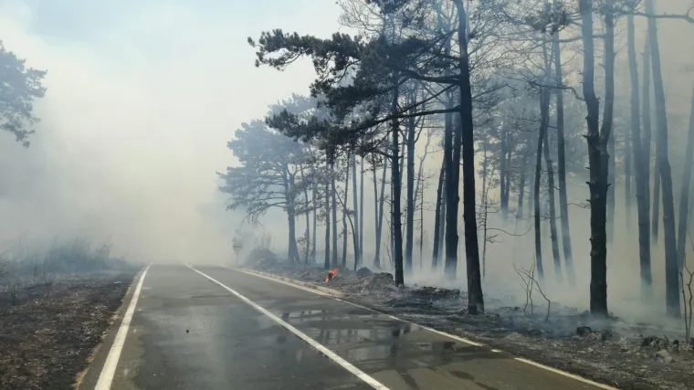 Gori u Dalmaciji: kod &Scaron;estanovca 'totalni kaos', 5 kanadera gasi požar u Benkovačkom selu