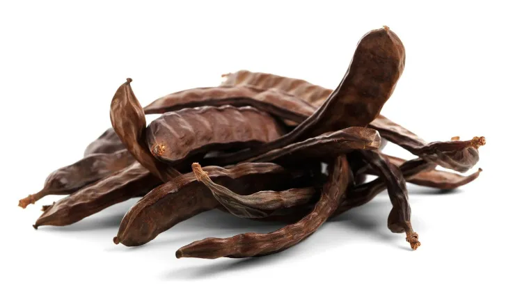 Rogač uzgoj: savjeti za uspješnu sadnju i uzgoj rogača