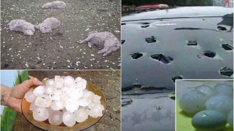 Led veličine jajeta ubijao ovce i razbijao automobile